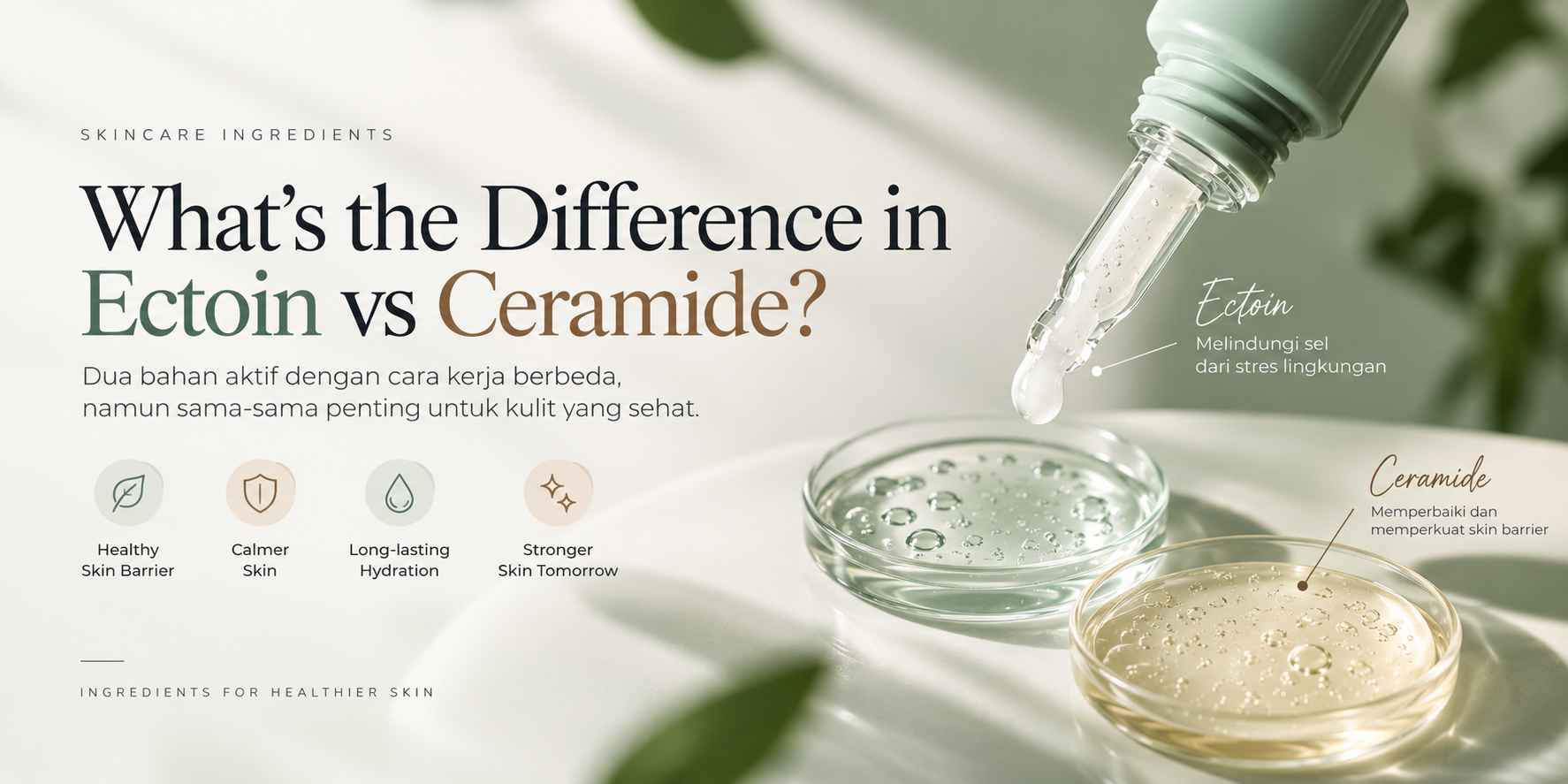 Ectoin vs Ceramide: Pilih Hero Ingredient Skin Barrier Mana? | Dreamlab - Dreamlab Indonesia Ectoin vs Ceramide: Pilih Hero Ingredient Skin Barrier Mana? | Dreamlab